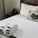 시드니모텔 이미지