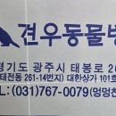 견우동물병원 - 광주시 태봉로 26 | 견우동물병원