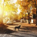 우산본촌 이미지