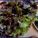 명성부대찌개 이미지