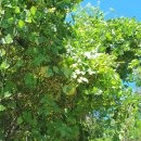 신바람농장 이미지