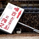 샤갈의 마을 이미지