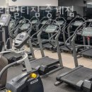 고릴라멀티짐 이미지