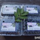 솔미농원 이미지