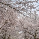 계산1리 마을회관 이미지