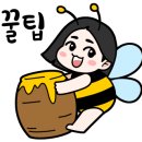 거북섬 해로토로호 이미지