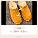 마이크로짐 | 어그 클래식 마이크로 후기｜겨울에 결국 이것만 신게 되는 이유 (사이즈 팁까지)