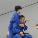 킹덤키즈-C 이미지