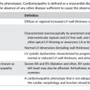 24시 와이즈 동물메디컬센터 이미지