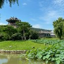 수원-1392 이미지