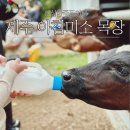 주동목장 이미지