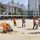어은초등학교 대전일보