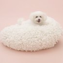 LIKE FRISE 이미지