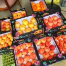 장택농장 이미지