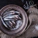 안쵸비 (Anchovy) 이미지