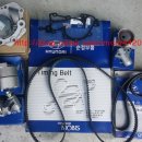 비아매일카 이미지