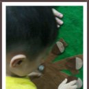 현아국수 이미지