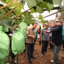 호우농장 이미지