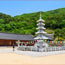 탑리 석조비로자나불좌상 | [경북 봉화 가볼만한곳] 해발 800m 구름 위 산사! 축서사 석조비로자나불과 문수산 힐링 코스