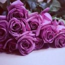 운정카페 이미지