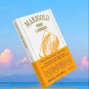 행복한세탁소 | 마음의 얼룩을 마법처럼 지워드립니다, #책, &lt; #메리골드마음세탁소 &gt; - #윤정은 저