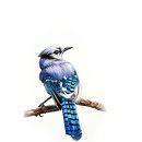 감성그림&손글씨 이미지