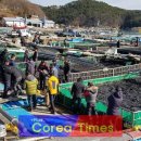 발포항 이미지