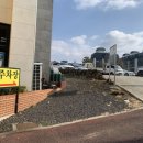 일빈관 | [제주도 서쪽맛집 추천] 제주도 한림 일빈관 방문 후기-일빈관 특면