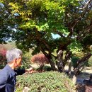 지수 승산마을 관광안내소 이미지