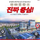 에스에이치디