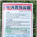 진흥농약사 이미지