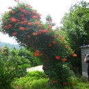 양서체육공원 이미지