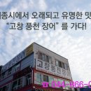 고창 풍천장어 세종