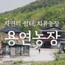 용연농장 이미지