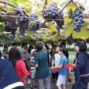 옥이농장 이미지