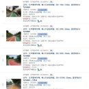 에스디산업개발