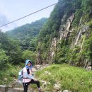 도마치로 이미지