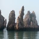 홍도여관