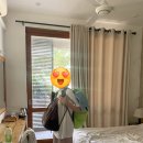 [스리랑카 여행 4일차] 스리랑카 하푸텔라 숙소·맛집 추천｜Leisure Mount View &amp; Mint of the Mist 후기