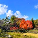 황금이식물원 이미지