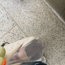 최우식동물병원 | 하양 최우식 동물병원 방문 후기 강아지 예방접종 및 진료비용 안내