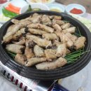 기장꼼장어 이미지