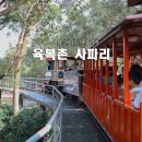 대만 여행 육복촌 테마파크 사파리 기차 입장권