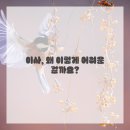 토탈장례 운송사업 | 짐 싸기 스트레스? e편한이사로 대전 포상이사 완벽하게 끝냈어요!