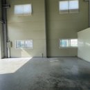 공감애견학교 유치원,호텔 이미지