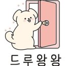 드루왕왕 이미지