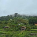 제다원초가집 | [국내 여행] 2️⃣박 3️⃣일 하동 여행 총정리 (여행 코스, 사진 스팟 &amp; 음식점 추천)