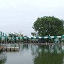 내곡동303 이미지