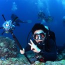 더월(The wall) 이미지