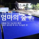 죽장지하수 | 수영장이 너무 좋은 포항펜션 엄마의숲!
